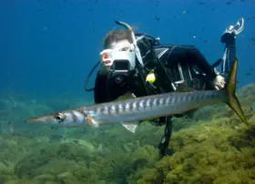 padi under water imaging specialty