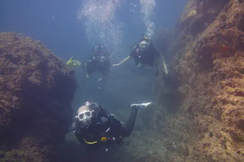 come diving with scubaworld