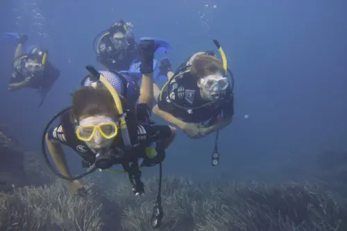 try diving in sea with scubaworld