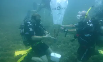 search and recovery dive for padi advanced course