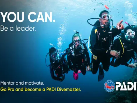 go pro and become a padi divemaster