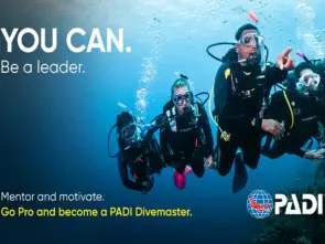 go pro and become a padi divemaster