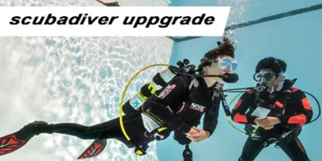 upgrade your scuba diver to open water diver