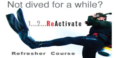 refresh your skills and reactivate