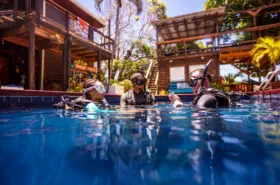 padi owsi pool scenario