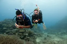 padi-uw-navigation training