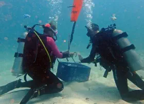 search and recovery diver specialty