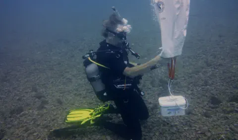 search and recovery diver specialty