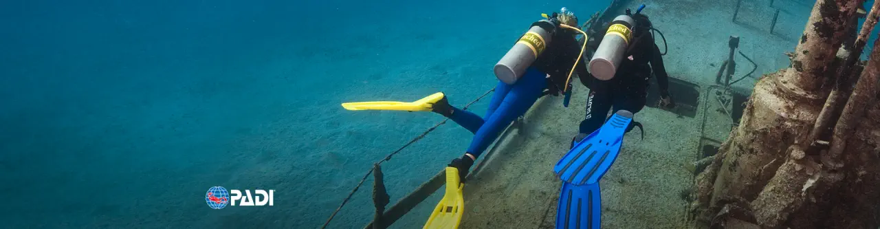 continue your dive adventure