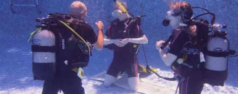 pool training for owd course