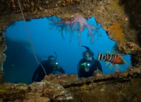 padi wreck diver specialty